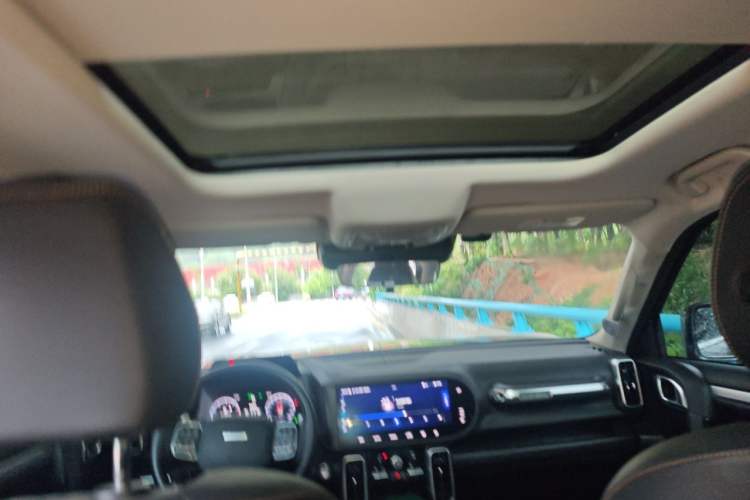 Used Haval DARGO 2021 1.5T DCT Two-Wheel Drive Border Collie - Wangcai Edition Headliner