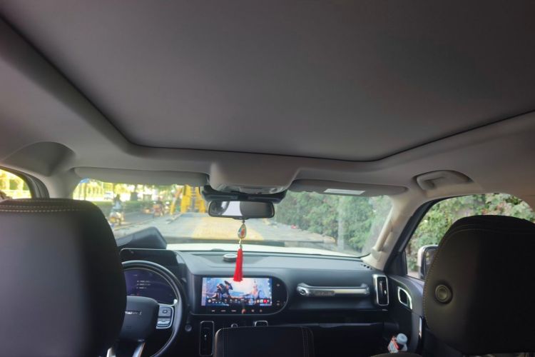 Used Haval DARGO 2021 Revised Version 2.0T DCT Four-Wheel Drive "Hao Tian Que" Edition Headliner