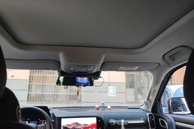 Used Haval DARGO 2021 1.5T DCT Two-Wheel Drive Border Collie - Wangcai Edition Headliner
