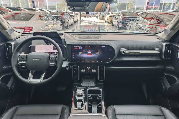 Used Haval DARGO 2021 2.0T DCT 4x4 Chinese Rural Dog Edition Interior 2