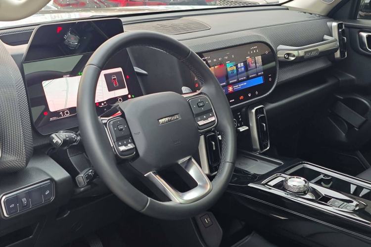 Used Haval DARGO 2021 2.0T DCT 4x4 Chinese Rural Dog Edition Interior 4