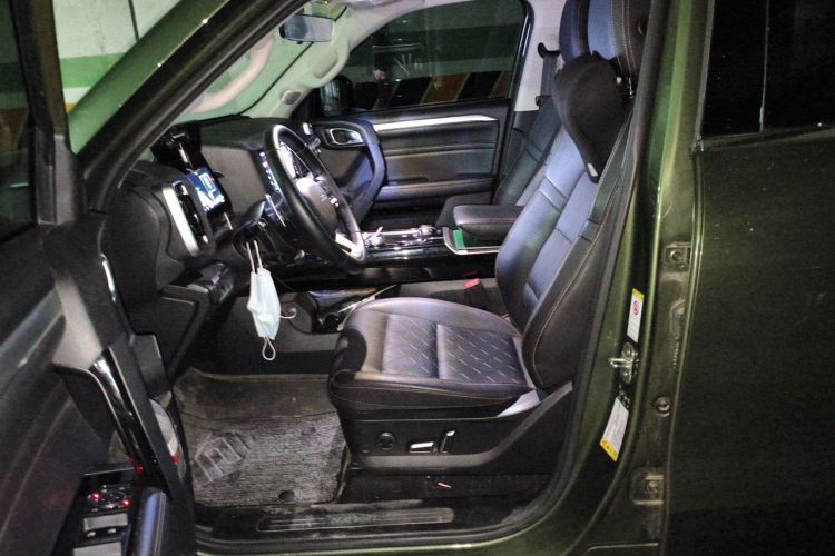 Used Haval DARGO 2021 2.0T DCT 4x4 Chinese Rural Dog Edition Left Front Seat