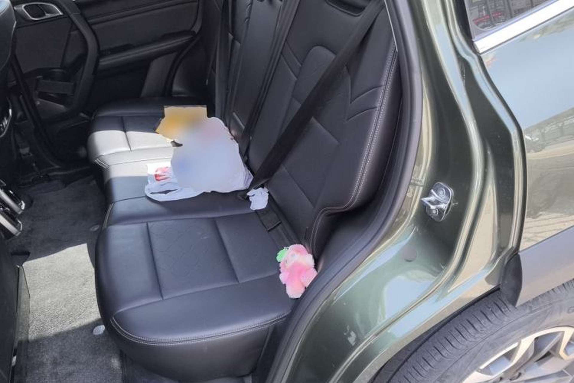 Used Haval DARGO 2021 2.0T DCT 4x4 Chinese Rural Dog Edition Left Rear Seat