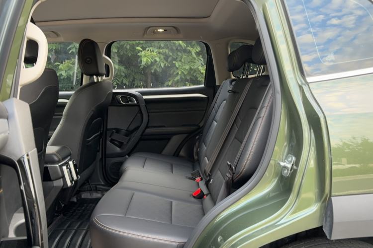 Used Haval DARGO 2021 1.5T DCT Two-Wheel Drive Border Collie Edition Left Rear Seat
