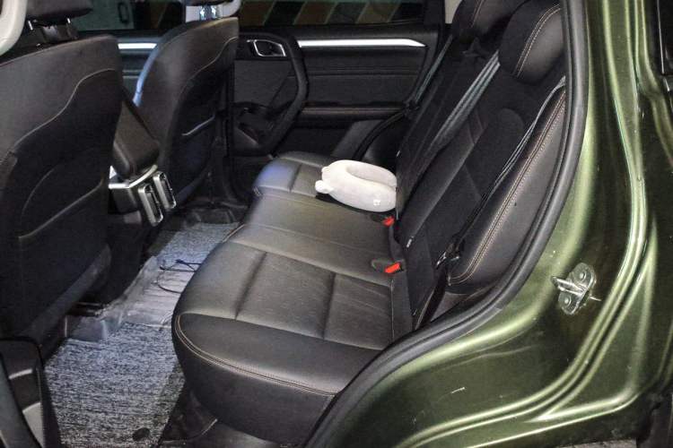 Used Haval DARGO 2021 2.0T DCT 4x4 Chinese Rural Dog Edition Left Rear Seat