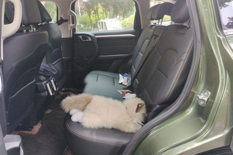 Used Haval DARGO 2021 1.5T DCT Two-Wheel Drive Border Collie Edition Left Rear Seat