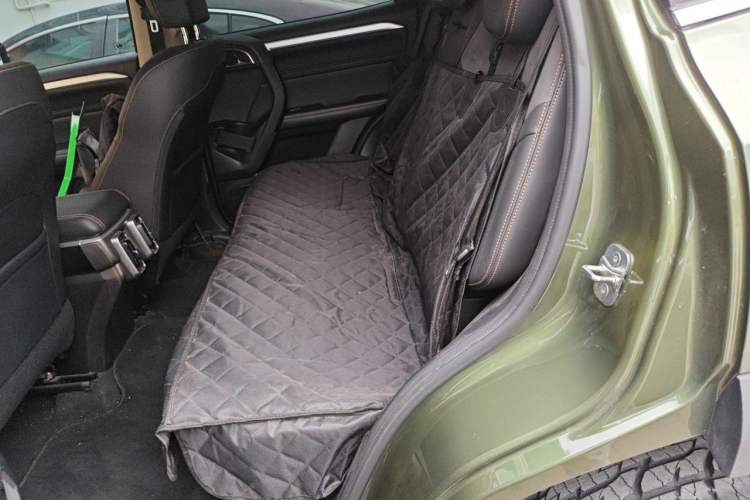 Used Haval DARGO 2021 2.0T DCT All-Wheel-Drive "Hao Tian Quan" Edition Left Rear Seat