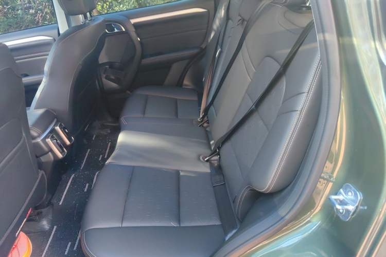 Used Haval DARGO 2021 2.0T DCT 4x4 Chinese Rural Dog Edition Left Rear Seat