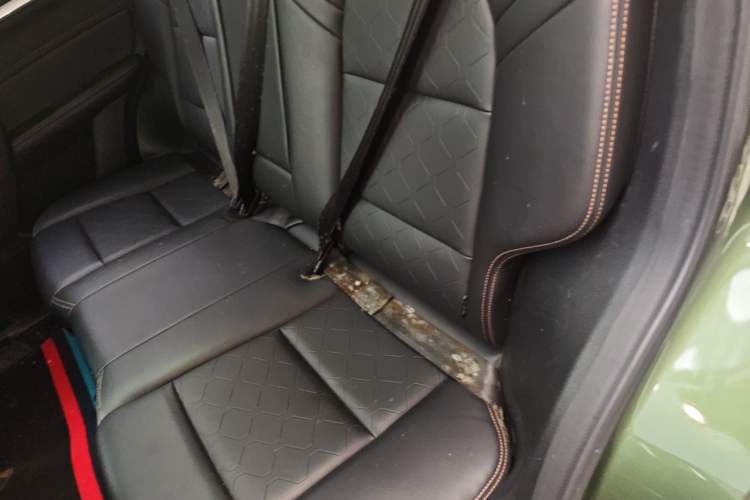 Used Haval DARGO 2021 1.5T DCT Two-Wheel Drive Border Collie Edition Left Rear Seat