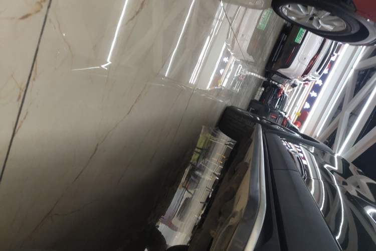 Used Haval DARGO 2021 1.5T DCT Two-Wheel Drive "Mǎquǎn" Edition Left Side Sill