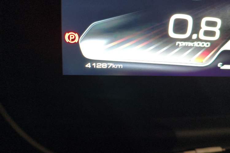 Used Haval DARGO 2021 2.0T DCT 4x4 Chinese Rural Dog Edition Odometer Close Up