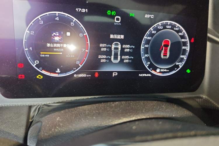 Used Haval DARGO 2021 1.5T DCT Two-Wheel Drive Border Collie - Wangcai Edition Odometer Close Up