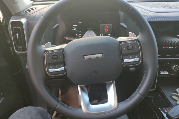 Used Haval DARGO 2021 1.5T DCT Two-Wheel Drive Border Collie - Wangcai Edition Steering Wheel