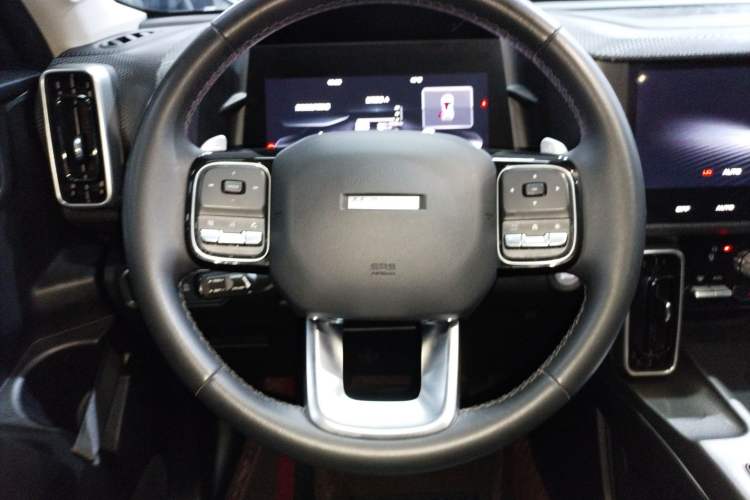 Used Haval DARGO 2021 1.5T DCT Two-Wheel Drive Labrador Edition Steering Wheel