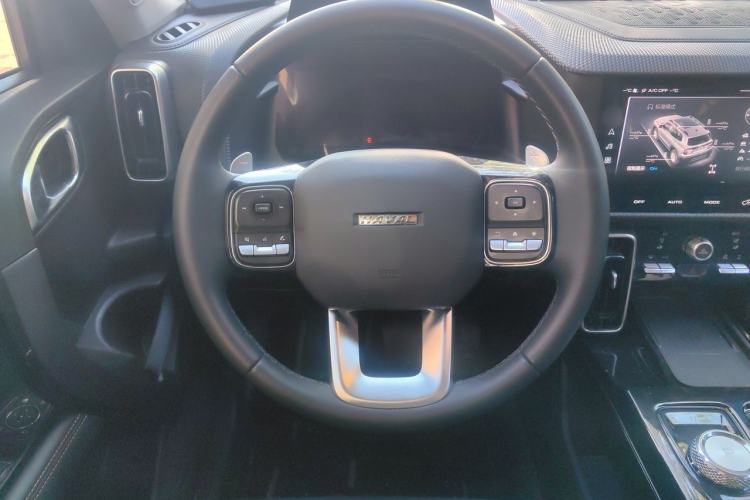Used Haval DARGO 2021 2.0T DCT 4x4 Chinese Rural Dog Edition Steering Wheel