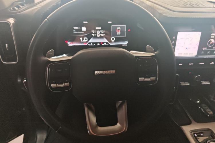 Used Haval DARGO 2021 1.5T DCT Two-Wheel Drive Labrador Edition Steering Wheel