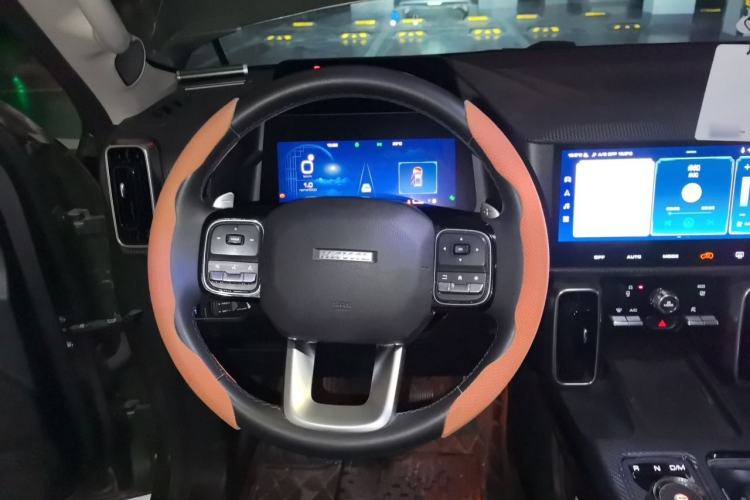 Used Haval DARGO 2021 1.5T DCT Two-Wheel Drive "Mǎquǎn" Edition Steering Wheel