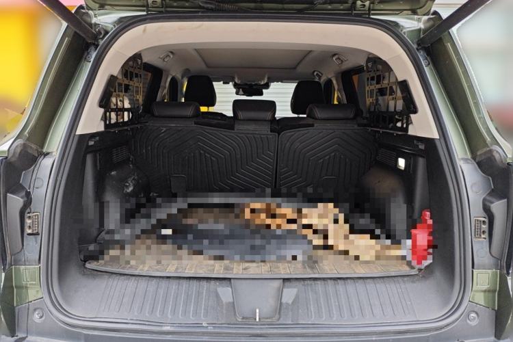 Used Haval DARGO 2021 2.0T DCT All-Wheel-Drive "Hao Tian Quan" Edition Trunk