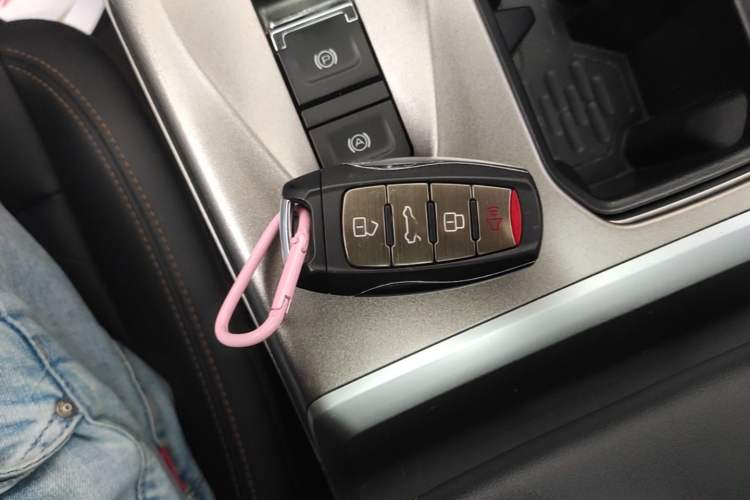 Used Haval DARGO 2021 1.5T DCT Two-Wheel Drive Labrador Edition Vehicle Key