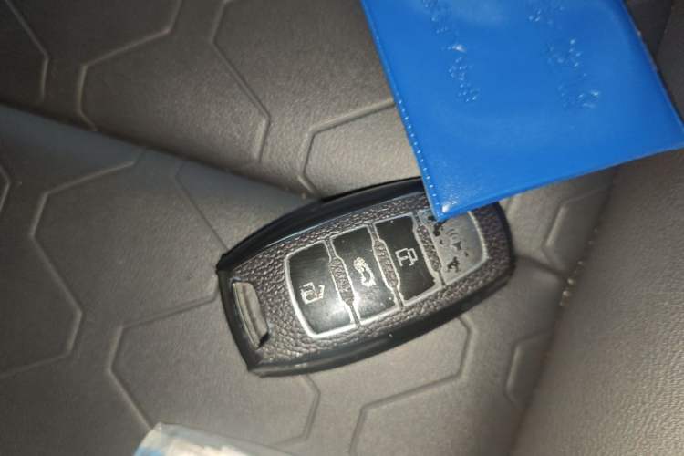 Used Haval DARGO 2021 1.5T DCT Two-Wheel Drive Border Collie - Wangcai Edition Vehicle Key