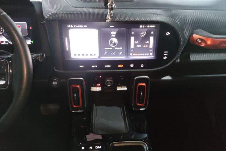 Used Haval DARGO 2021 1.5T DCT Two-Wheel Drive Border Collie - Wangcai Edition Audio And AC Panel