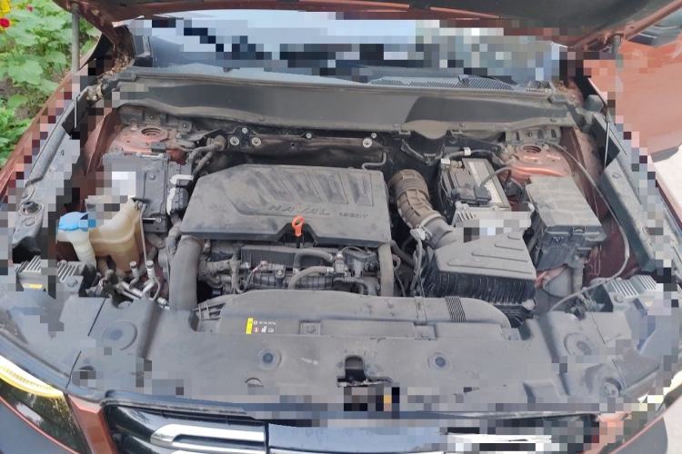 Used Haval DARGO 2021 1.5T DCT Two-Wheel Drive "Mǎquǎn" Edition Engine Bay