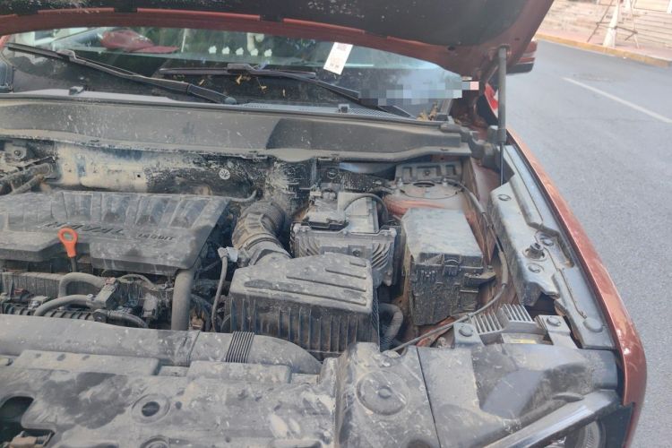 Used Haval DARGO 2021 1.5T DCT Two-Wheel Drive Border Collie Edition Engine Bay Left