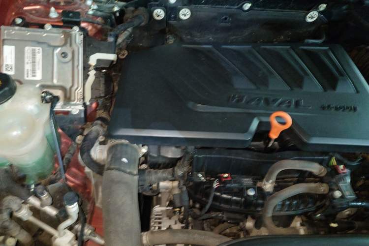 Used Haval DARGO 2021 1.5T DCT Two-Wheel Drive Border Collie Edition Engine Bay Right