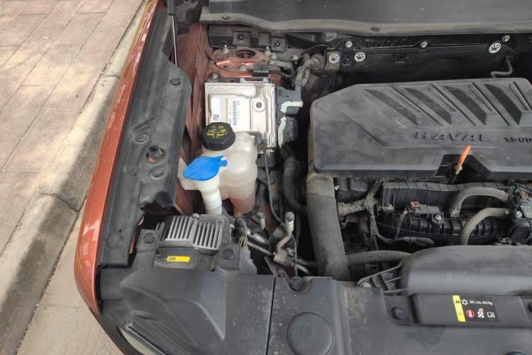 Used Haval DARGO 2021 1.5T DCT Two-Wheel Drive Labrador Edition Engine Bay Right