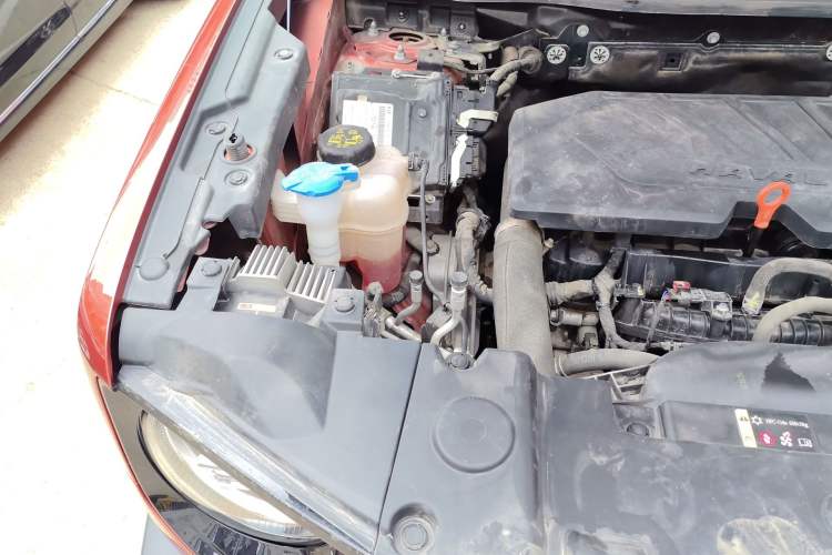 Used Haval DARGO 2021 1.5T DCT Two-Wheel Drive Border Collie Edition Engine Bay Right