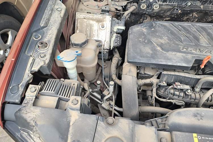 Used Haval DARGO 2021 1.5T DCT Two-Wheel Drive Border Collie Edition Engine Bay Right
