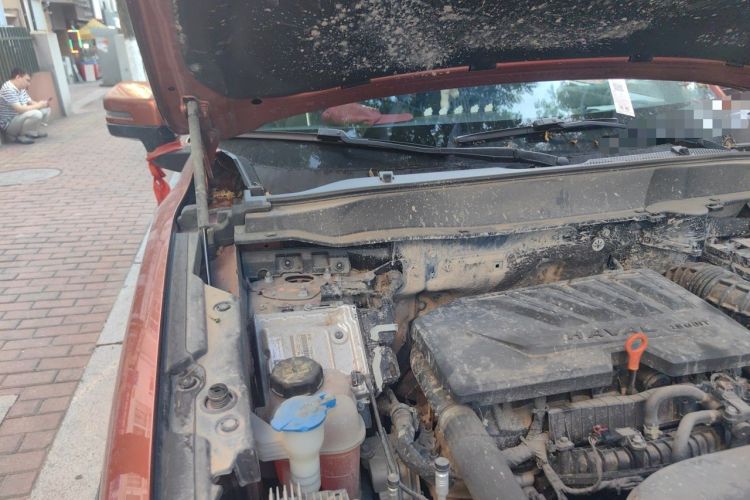 Used Haval DARGO 2021 1.5T DCT Two-Wheel Drive Border Collie Edition Engine Bay Right