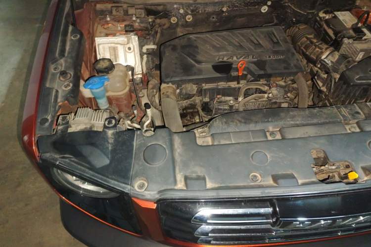 Used Haval DARGO 2021 1.5T DCT Two-Wheel Drive "Wangcai" Edition Engine Bay Right