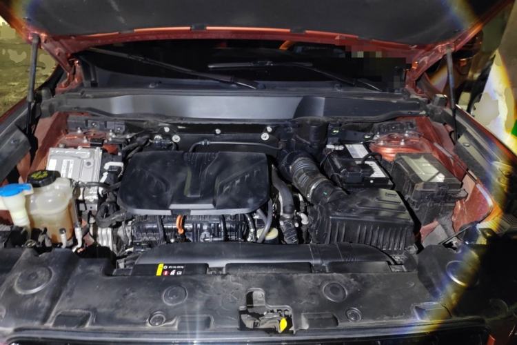 Used Haval DARGO 2021 Revised Version 2.0T DCT Four-Wheel Drive "Hao Tian Que" Edition Engine Bay