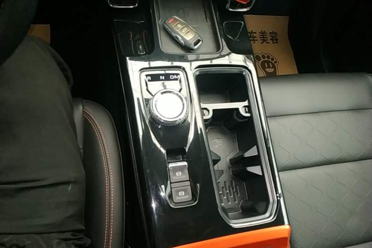 Used Haval DARGO 2021 2.0T DCT 4x4 Chinese Rural Dog Edition Gear Lever
