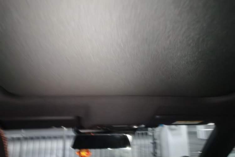 Used Haval DARGO 2021 1.5T DCT Two-Wheel Drive Labrador Edition Headliner