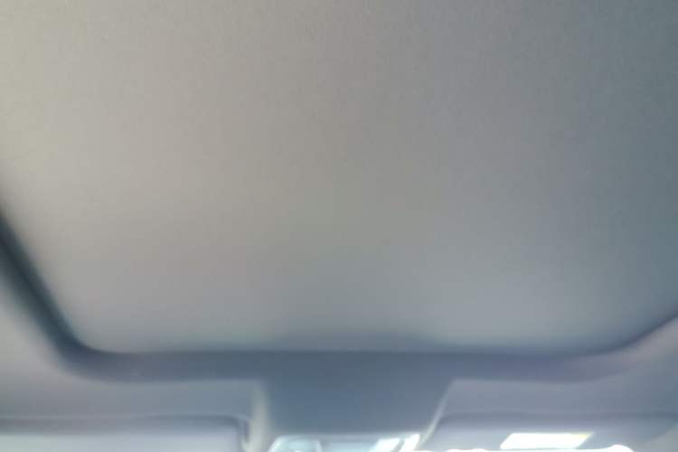 Used Haval DARGO 2021 1.5T DCT Two-Wheel Drive Border Collie Edition Headliner