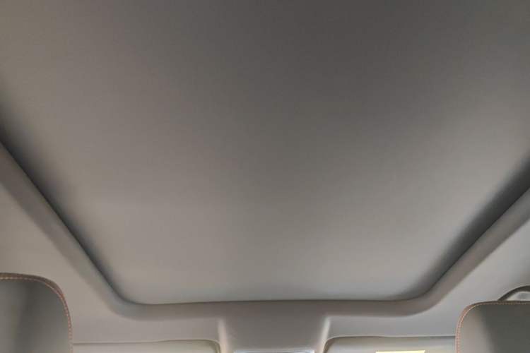 Used Haval DARGO 2021 1.5T DCT Two-Wheel Drive Border Collie Edition Headliner
