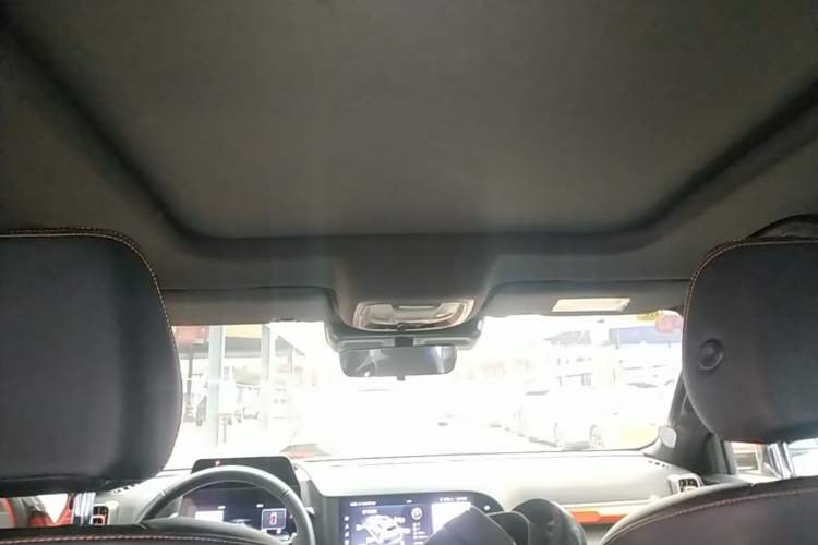 Used Haval DARGO 2021 2.0T DCT 4x4 Chinese Rural Dog Edition Headliner