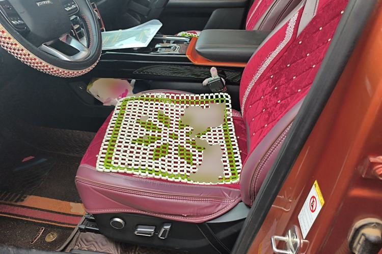 Used Haval DARGO 2021 1.5T DCT Two-Wheel Drive Border Collie Edition Left Front Seat