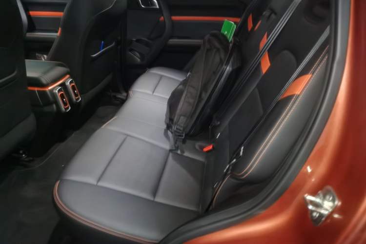 Used Haval DARGO 2021 1.5T DCT Two-Wheel Drive Labrador Edition Left Rear Seat