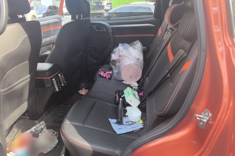 Used Haval DARGO 2021 1.5T DCT Two-Wheel Drive Border Collie Edition Left Rear Seat