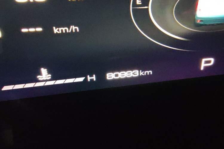 Used Haval DARGO 2021 1.5T DCT Two-Wheel Drive Border Collie - Wangcai Edition Odometer Close Up