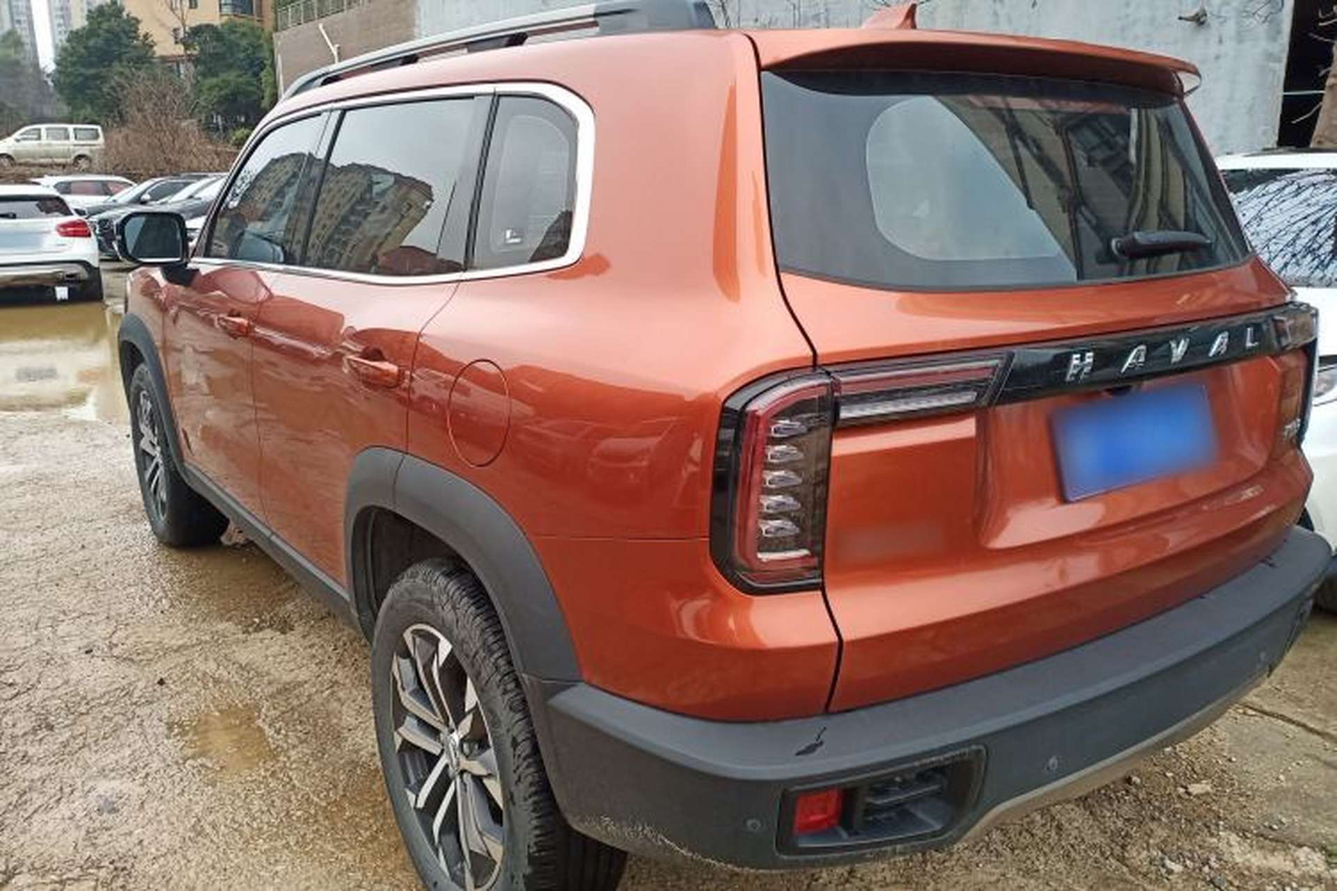 Used Haval DARGO 2021 1.5T DCT Two-Wheel Drive Border Collie - Wangcai Edition Rear Left 45 Deg