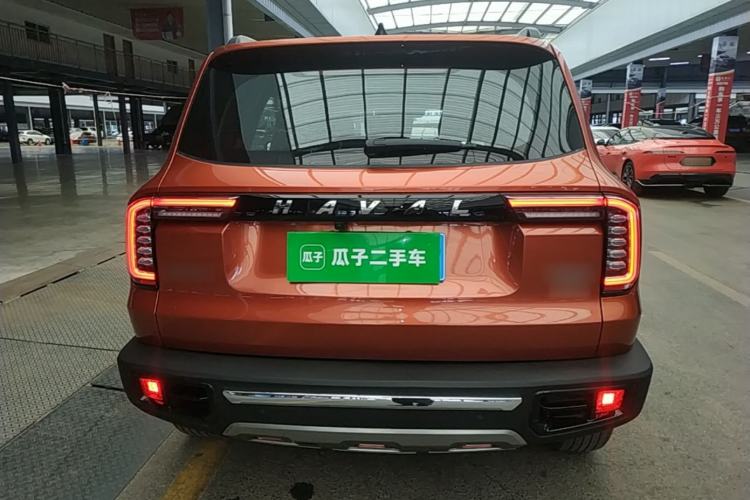 Used Haval DARGO 2021 2.0T DCT 4x4 Chinese Rural Dog Edition Rear