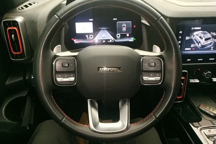 Used Haval DARGO 2021 2.0T DCT 4x4 Chinese Rural Dog Edition Steering Wheel
