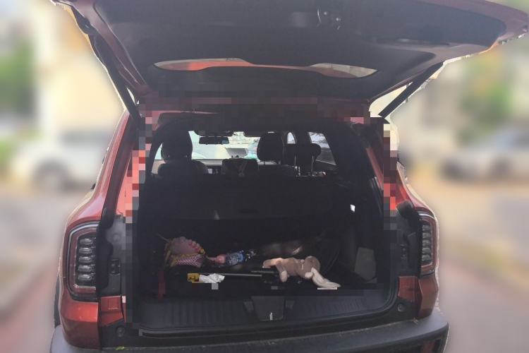 Used Haval DARGO 2021 1.5T DCT Two-Wheel Drive Border Collie Edition Trunk
