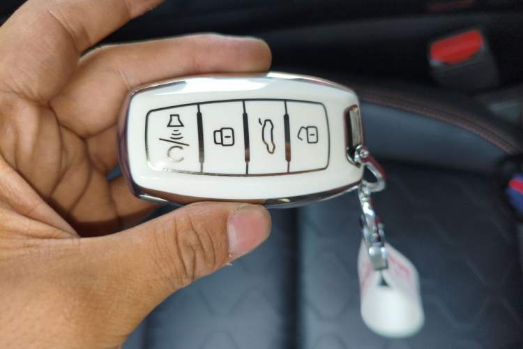 Used Haval DARGO 2021 1.5T DCT Two-Wheel Drive Border Collie Edition Vehicle Key