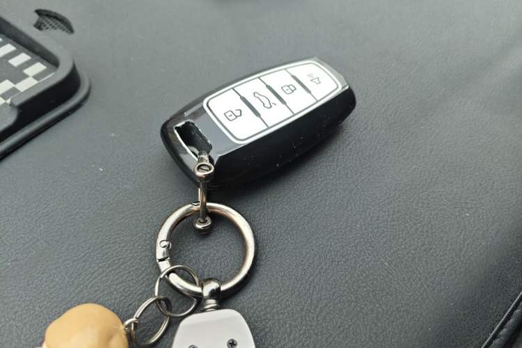 Used Haval DARGO 2021 1.5T DCT Two-Wheel Drive "Wangcai" Edition Vehicle Key