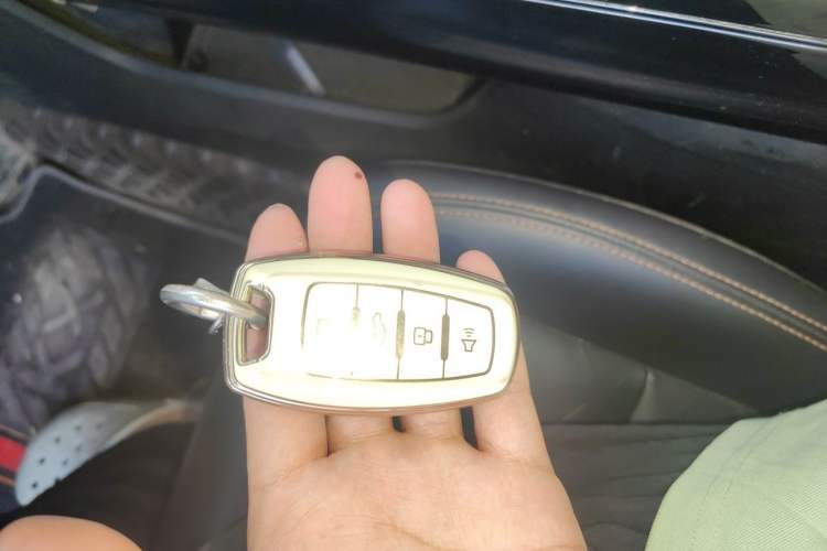 Used Haval DARGO 2021 1.5T DCT Two-Wheel Drive Border Collie Edition Vehicle Key